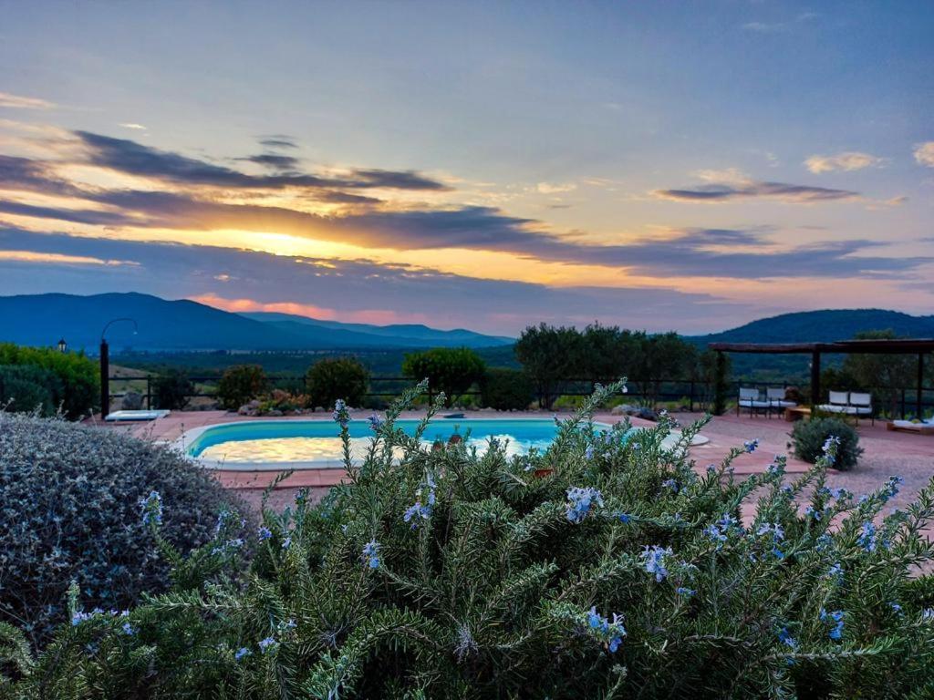 La Villa De I Casali Del Troscio Capalbio Extérieur photo